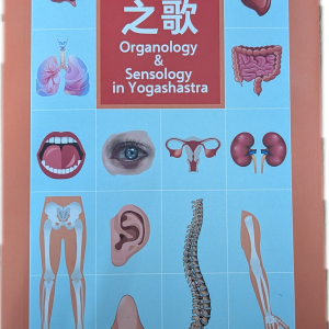 器官之歌