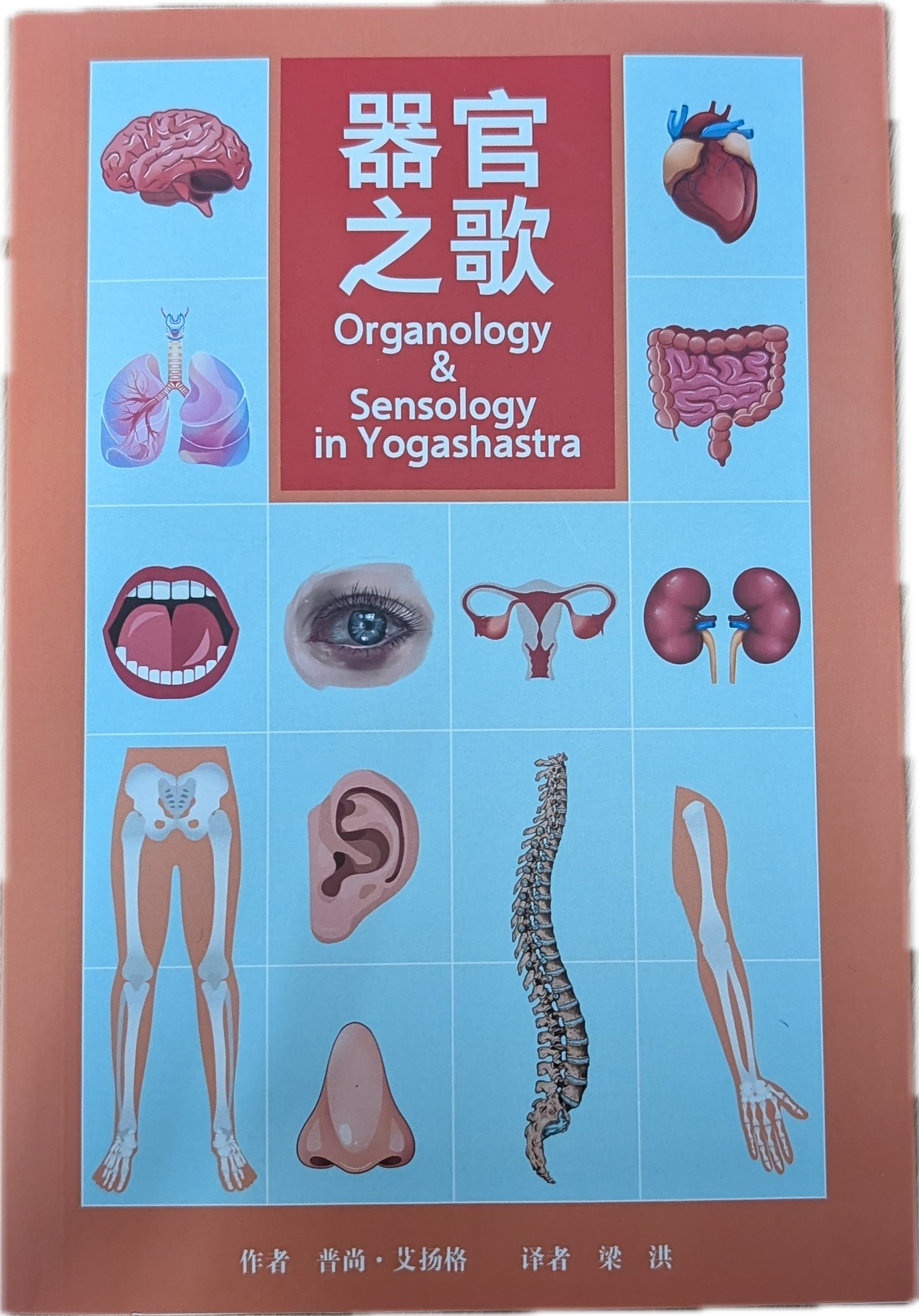 器官之歌