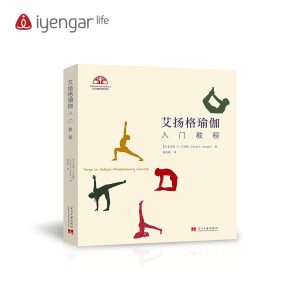 艾揚格 教程 指南