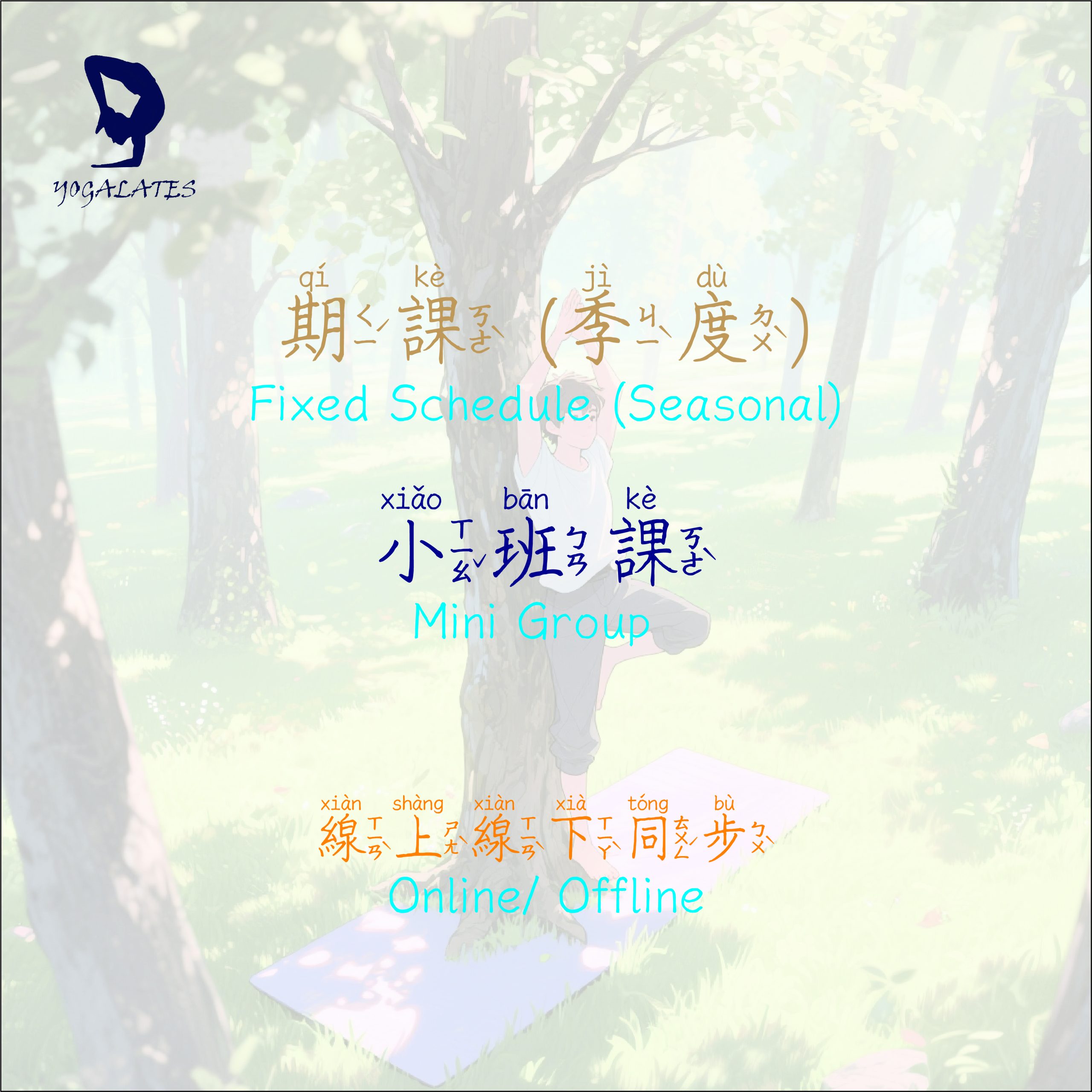 小班課 (季度期課) 台灣用戶專享